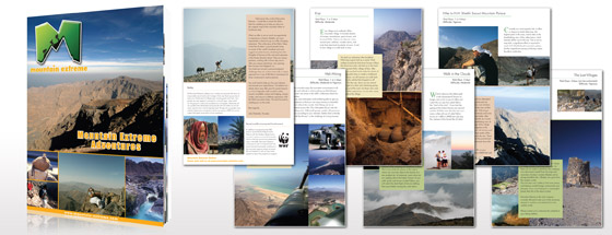 Brochure Design Sample 8