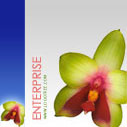 Enterprise Logo Design Package